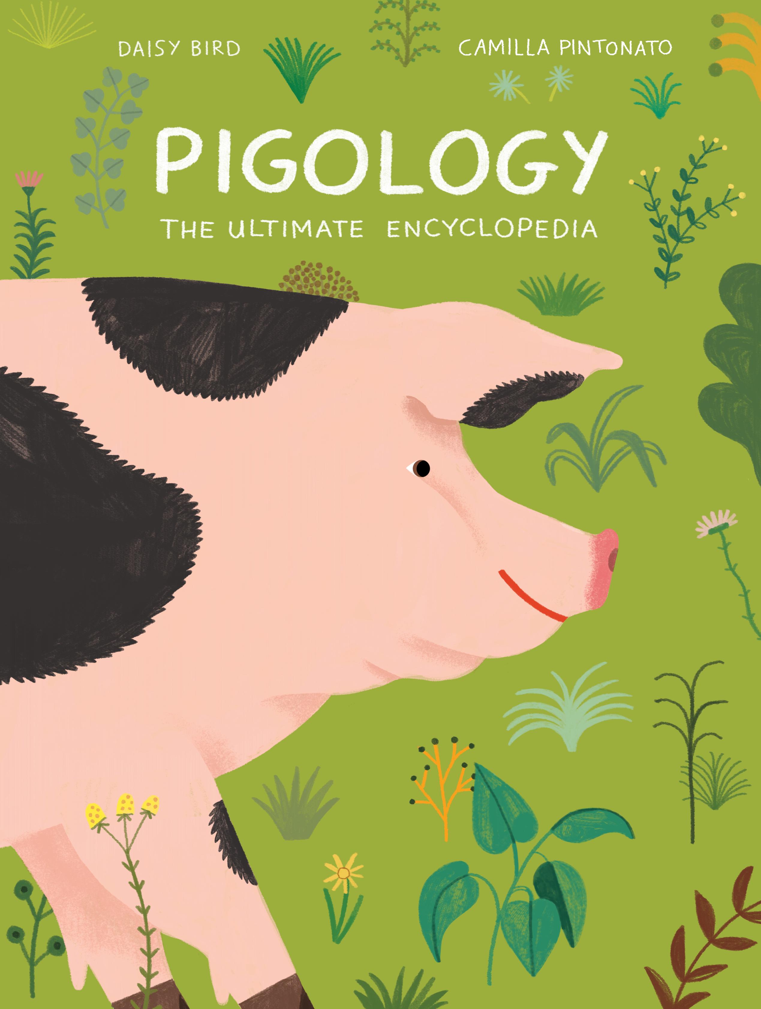Vorderes Coverbild Pigology