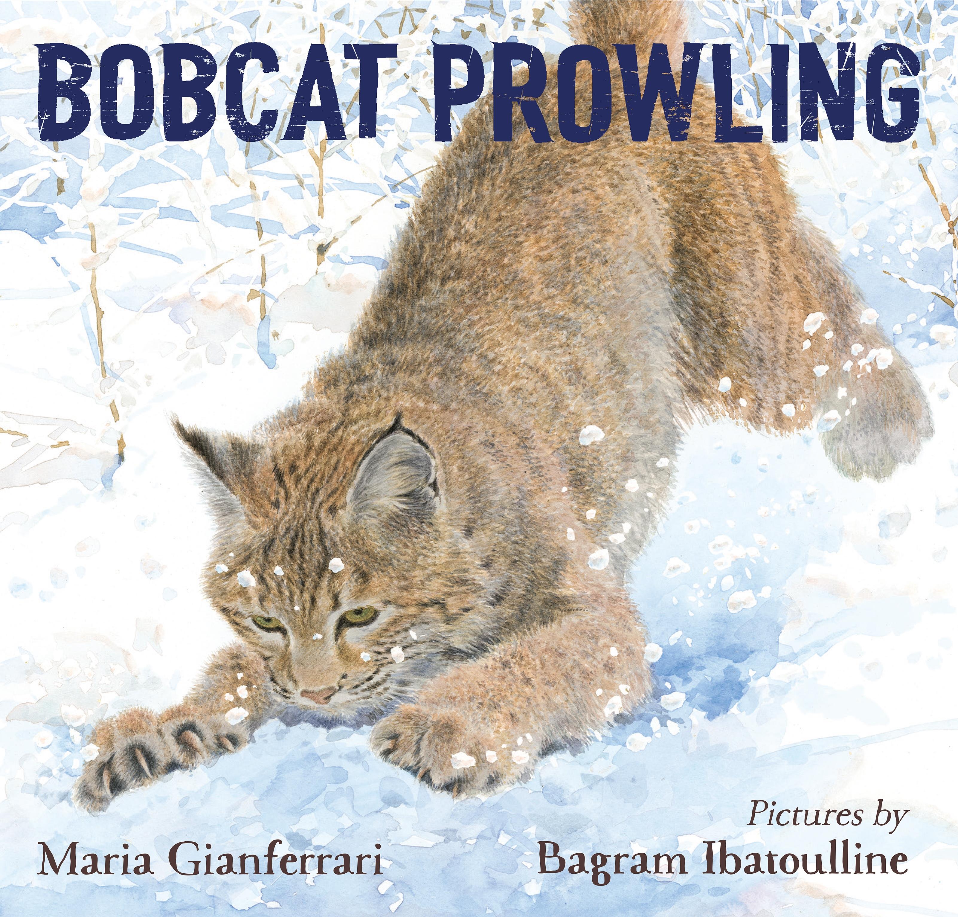 Vorderes Coverbild Bobcat Prowling