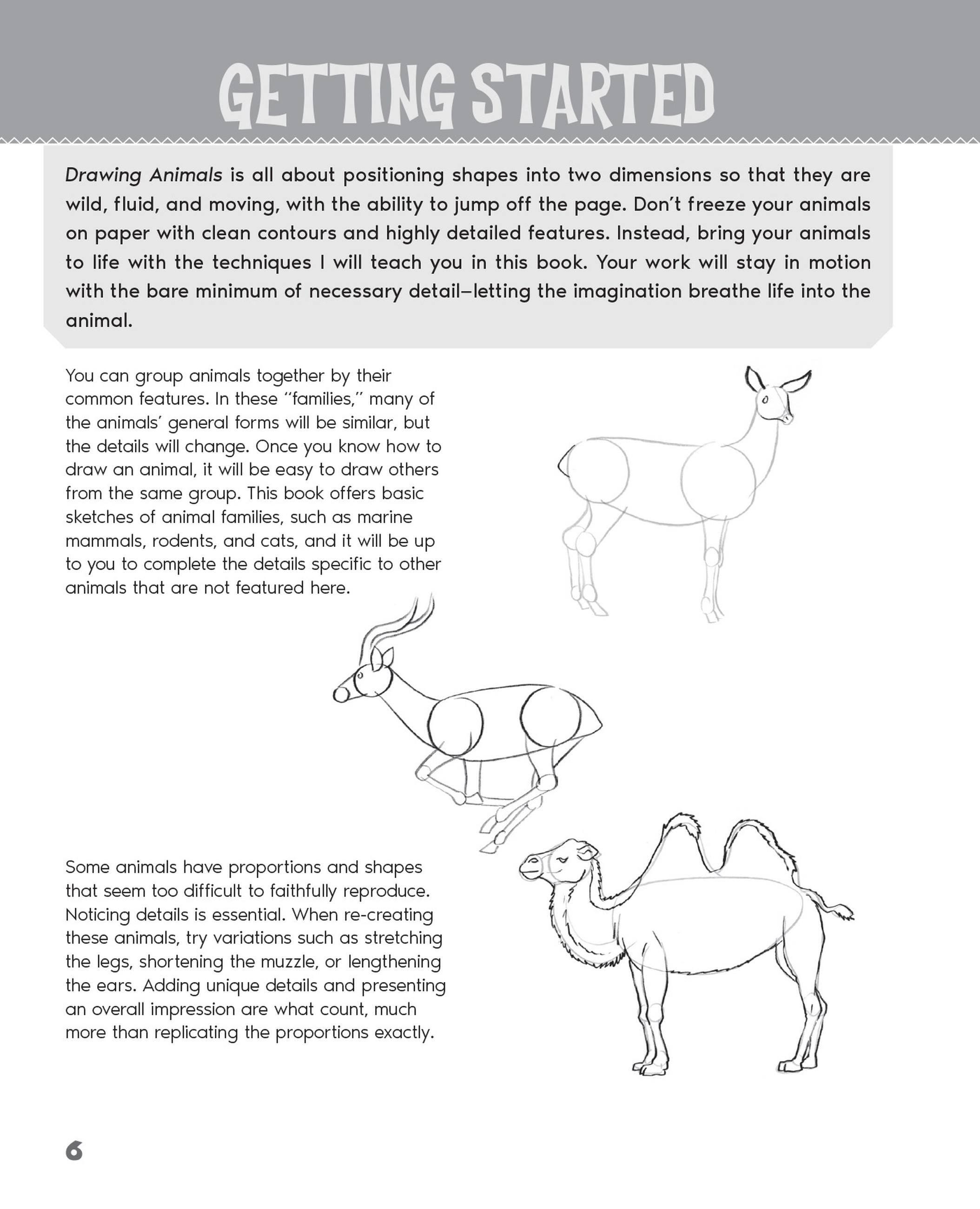 Beispielinhalt (Bild) Drawing Animals