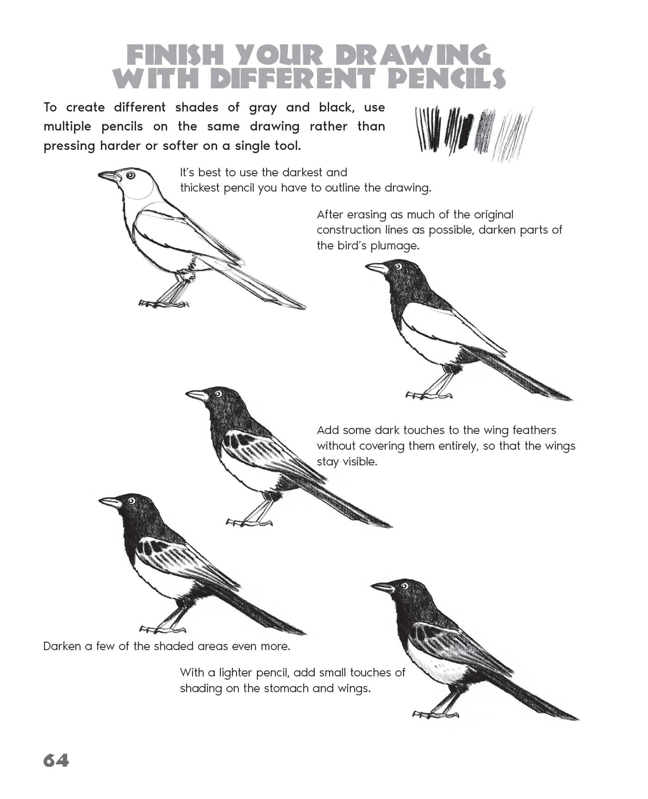 Beispielinhalt (Bild) Drawing Animals