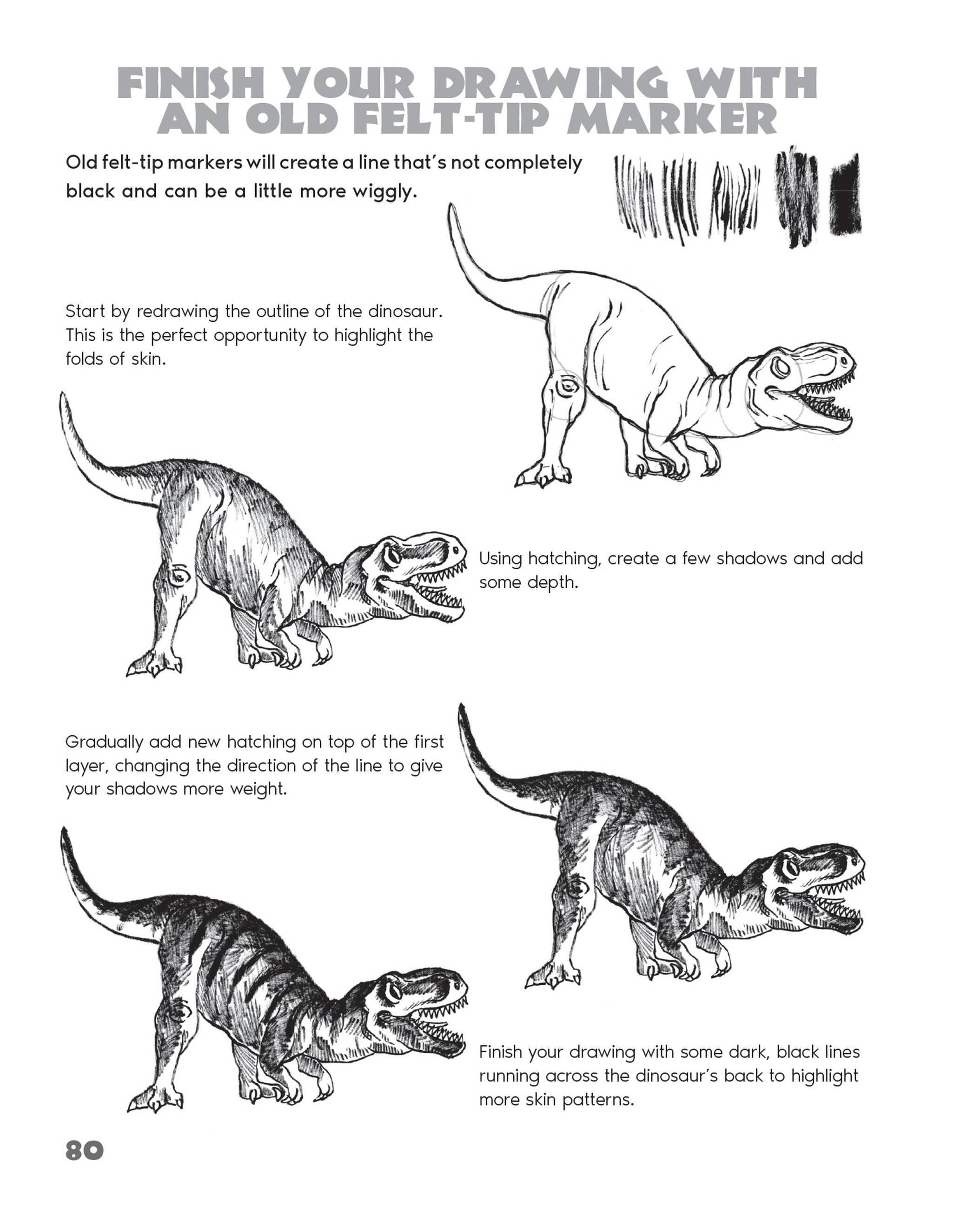 Beispielinhalt (Bild) Drawing Animals