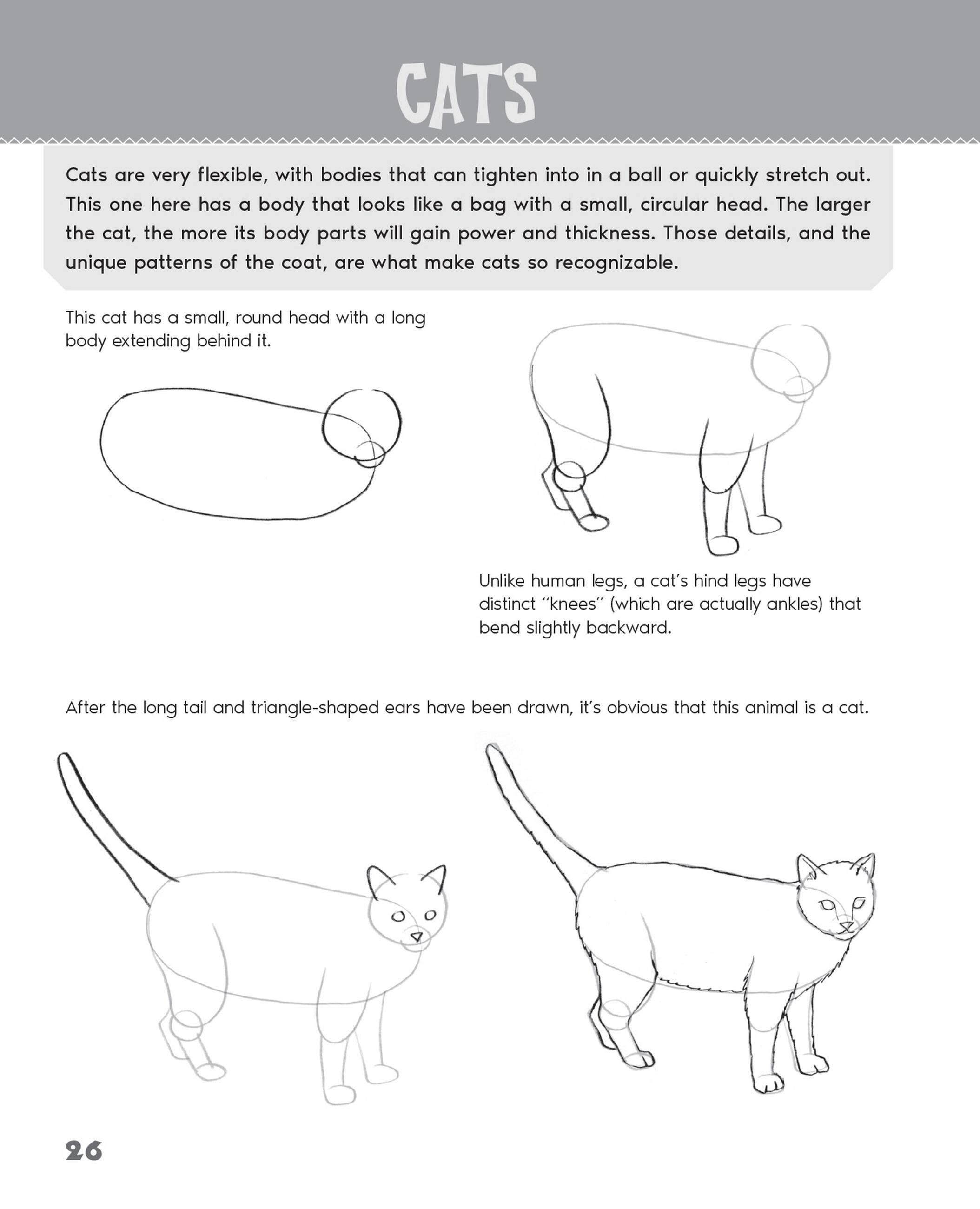 Beispielinhalt (Bild) Drawing Animals