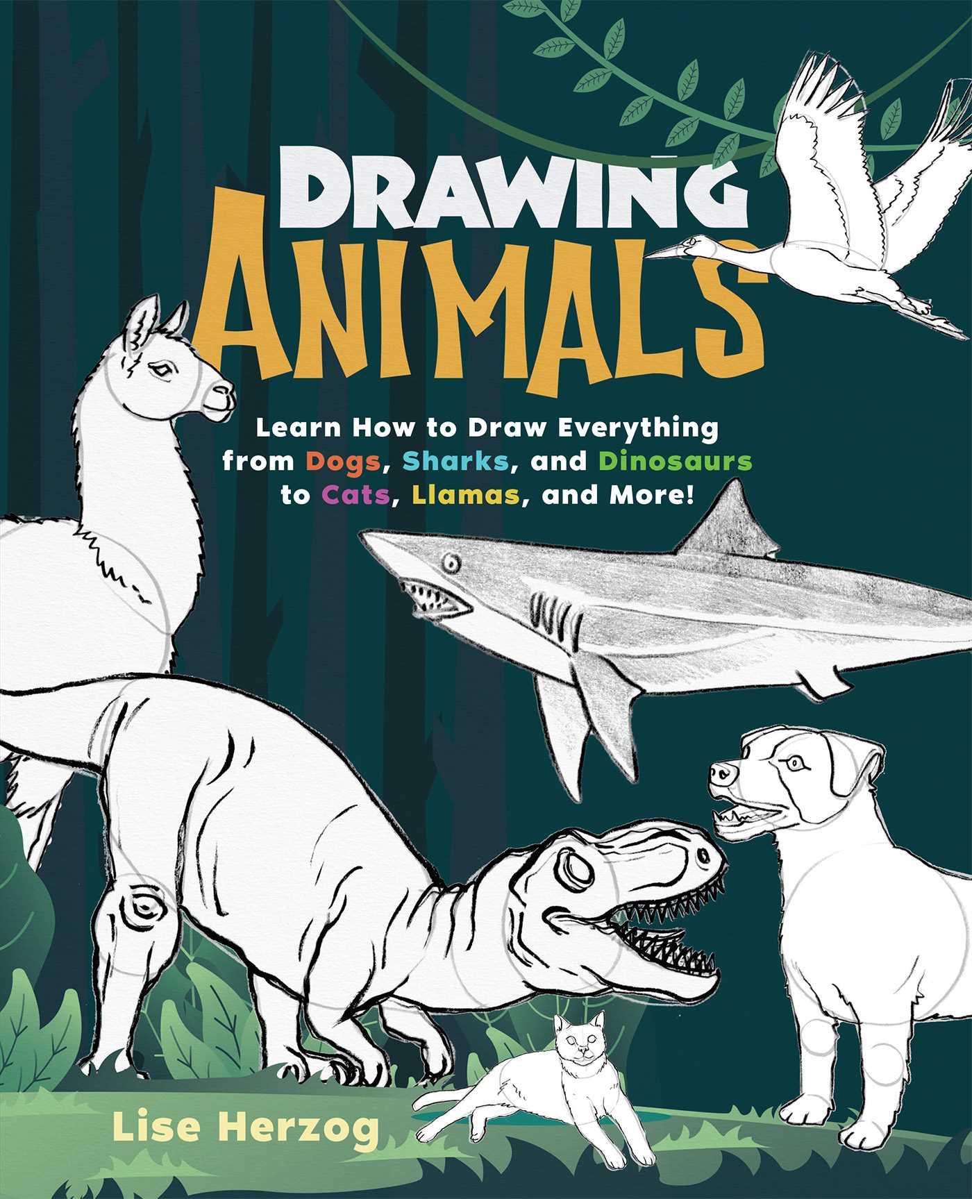 Vorderes Coverbild Drawing Animals