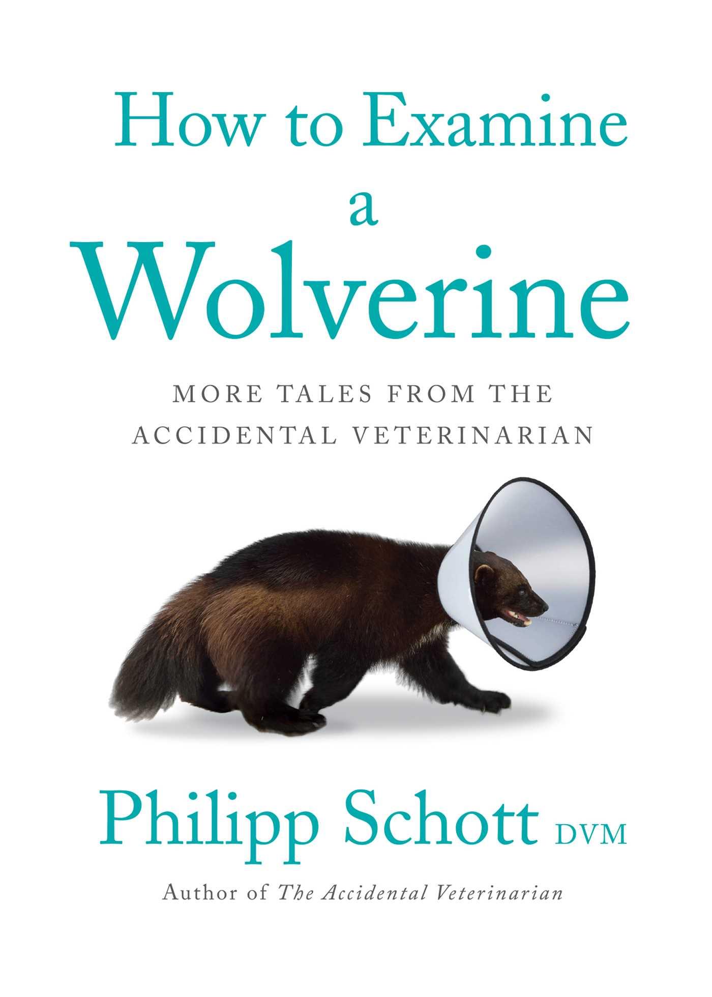 Vorderes Coverbild How to Examine a Wolverine