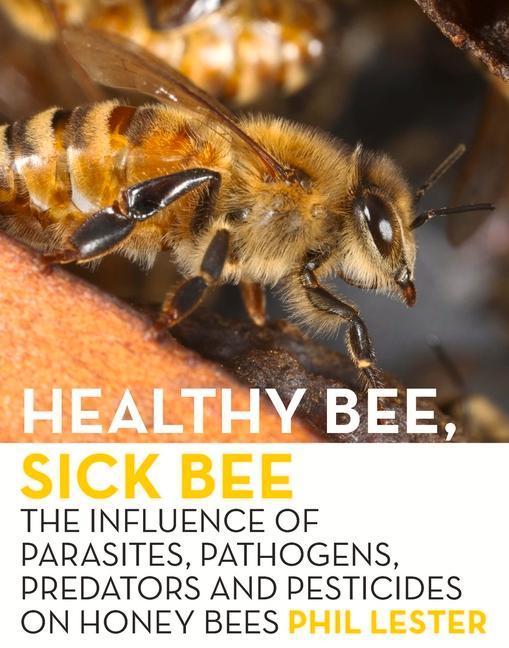 Vorderes Coverbild Healthy Bee, Sick Bee