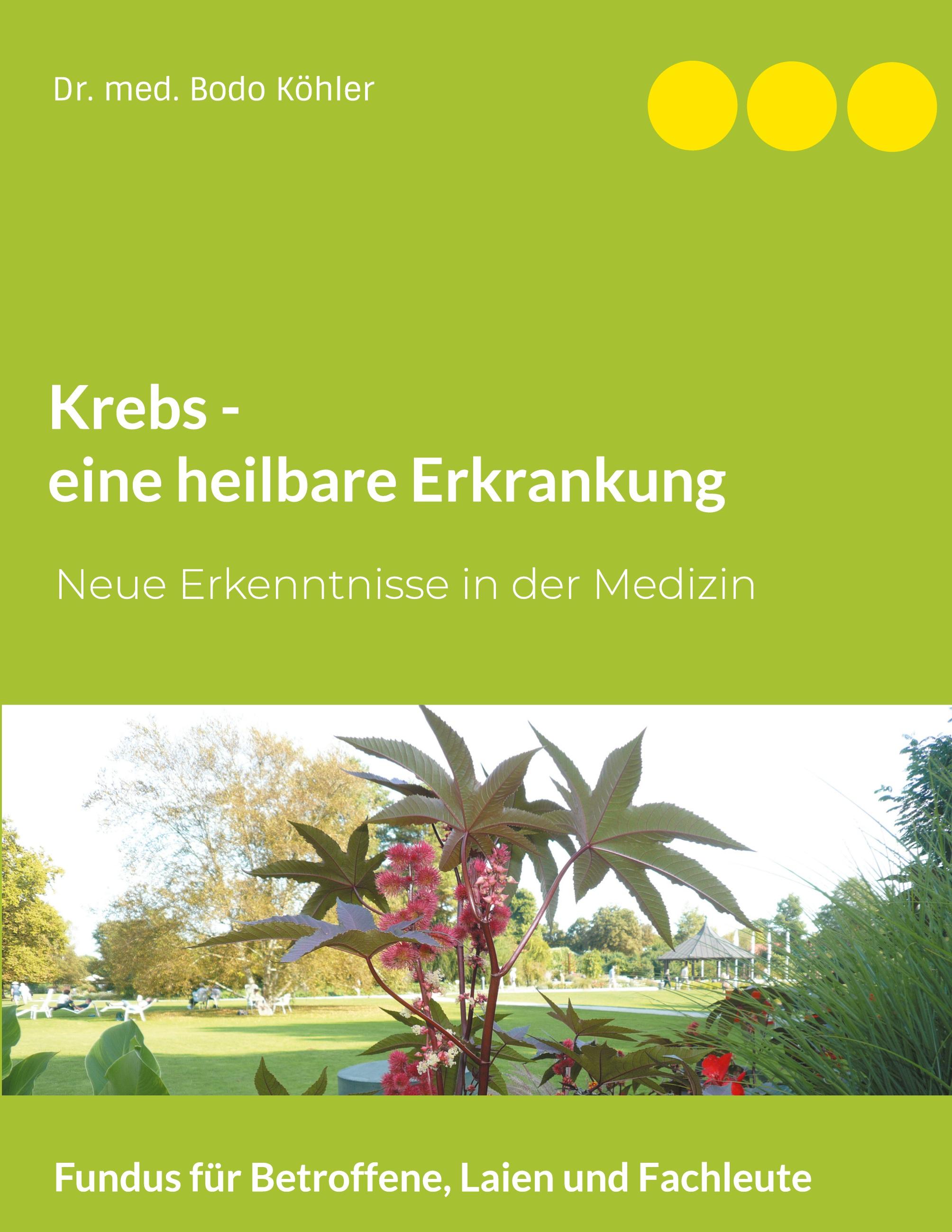 Vorderes Coverbild Krebs - eine heilbare Erkrankung
