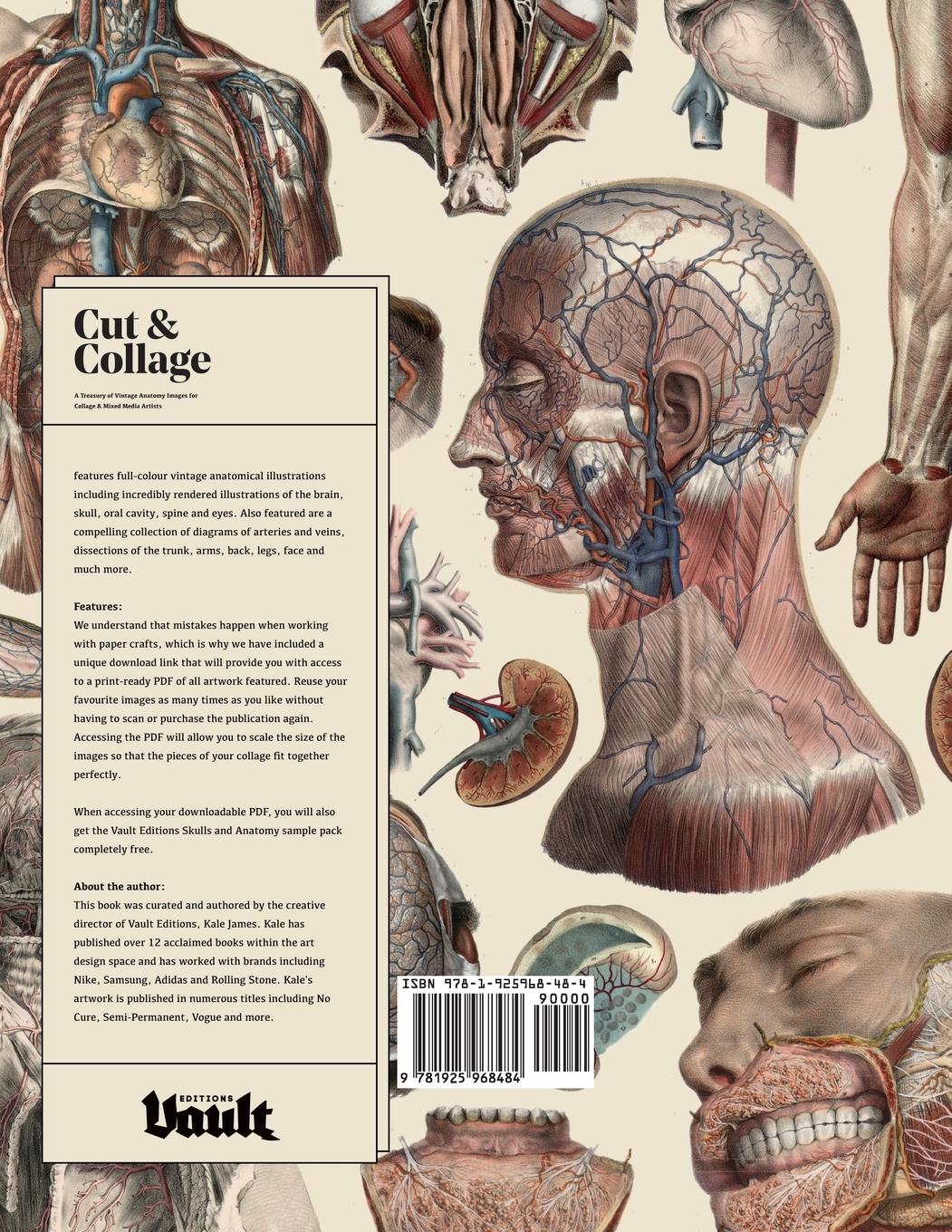 Rückseitencover Cut and Collage A Treasury of Vintage Anatomy Images for Collage and Mixed Media Artists