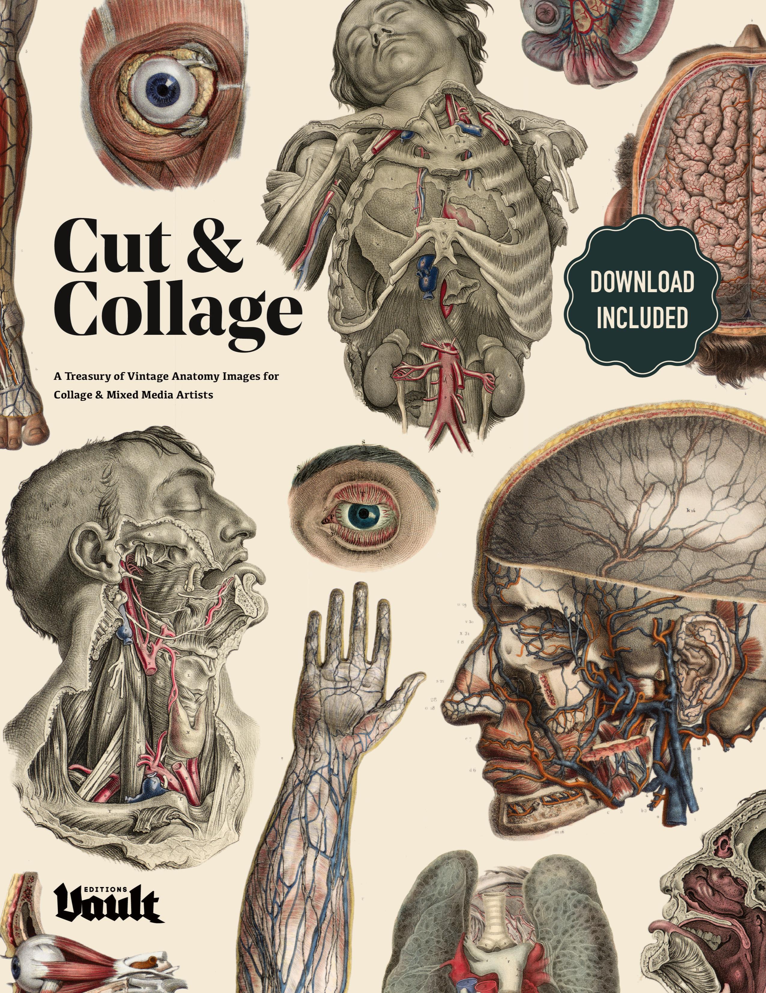 Vorderes Coverbild Cut and Collage A Treasury of Vintage Anatomy Images for Collage and Mixed Media Artists