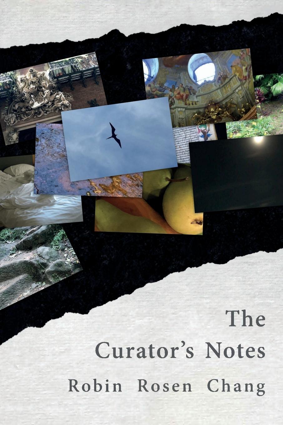 Vorderes Coverbild The Curator's Notes