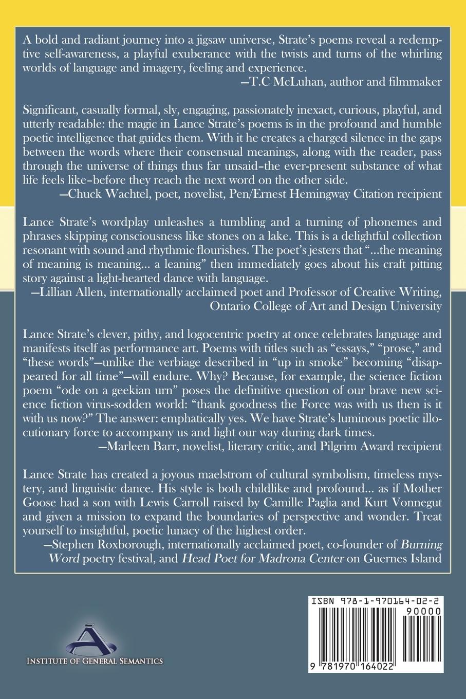 Rückseitencover Diatribal Writes of Passage in a World of Wintertextuality