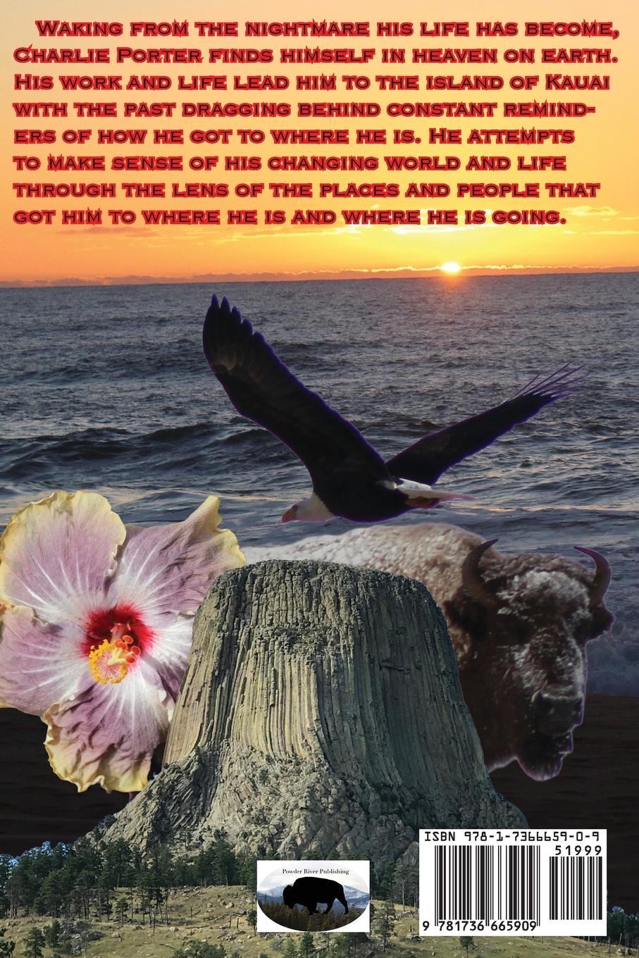 Rückseitencover The Only Way Home