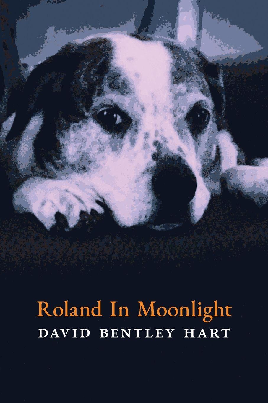 Vorderes Coverbild Roland in Moonlight