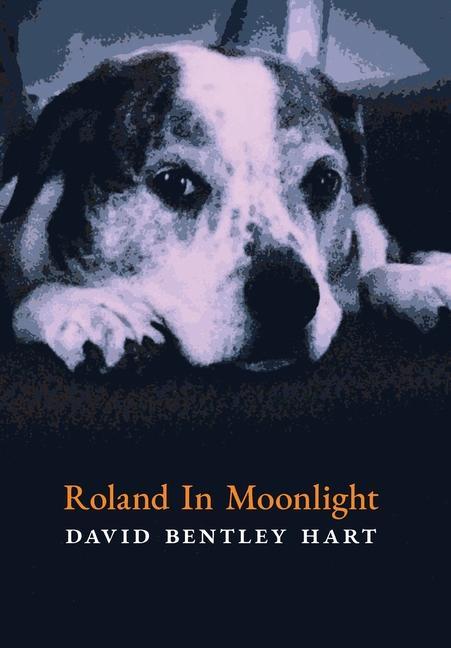 Vorderes Coverbild Roland in Moonlight