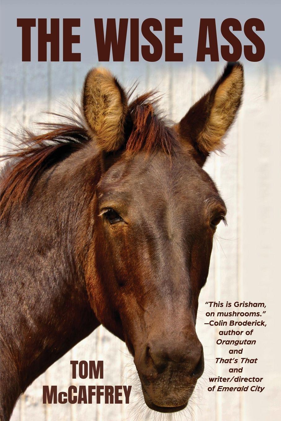 Vorderes Coverbild The Wise Ass