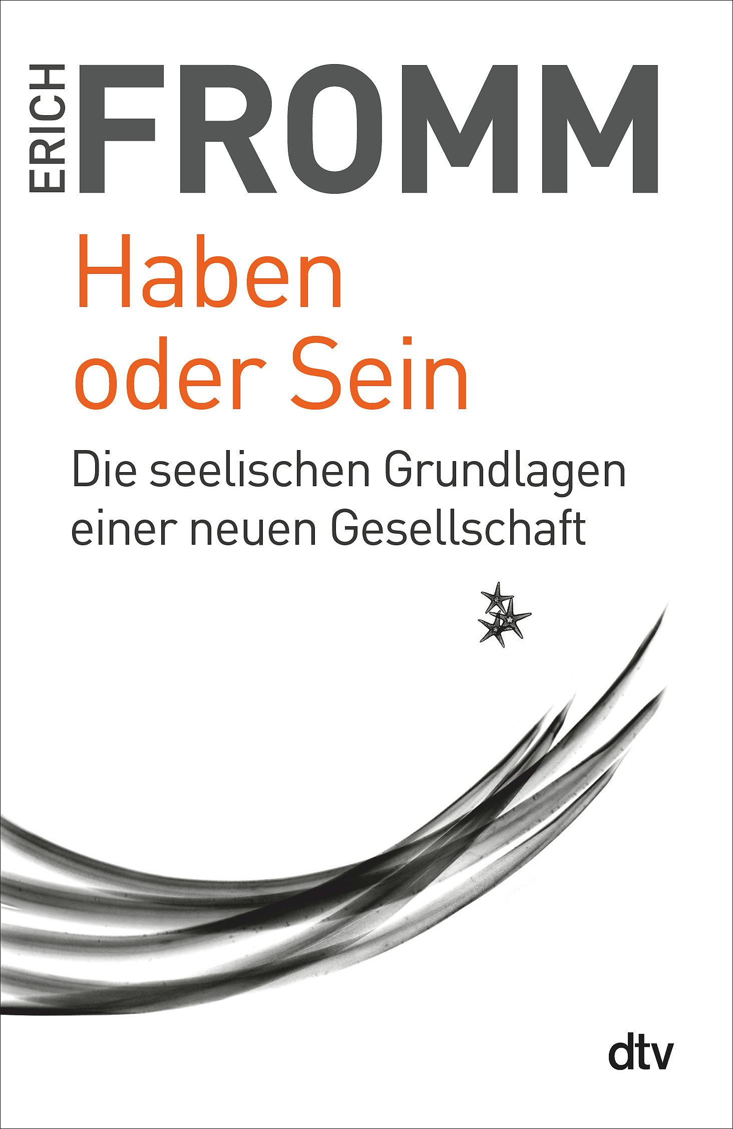 Vorderes Coverbild Haben oder Sein
