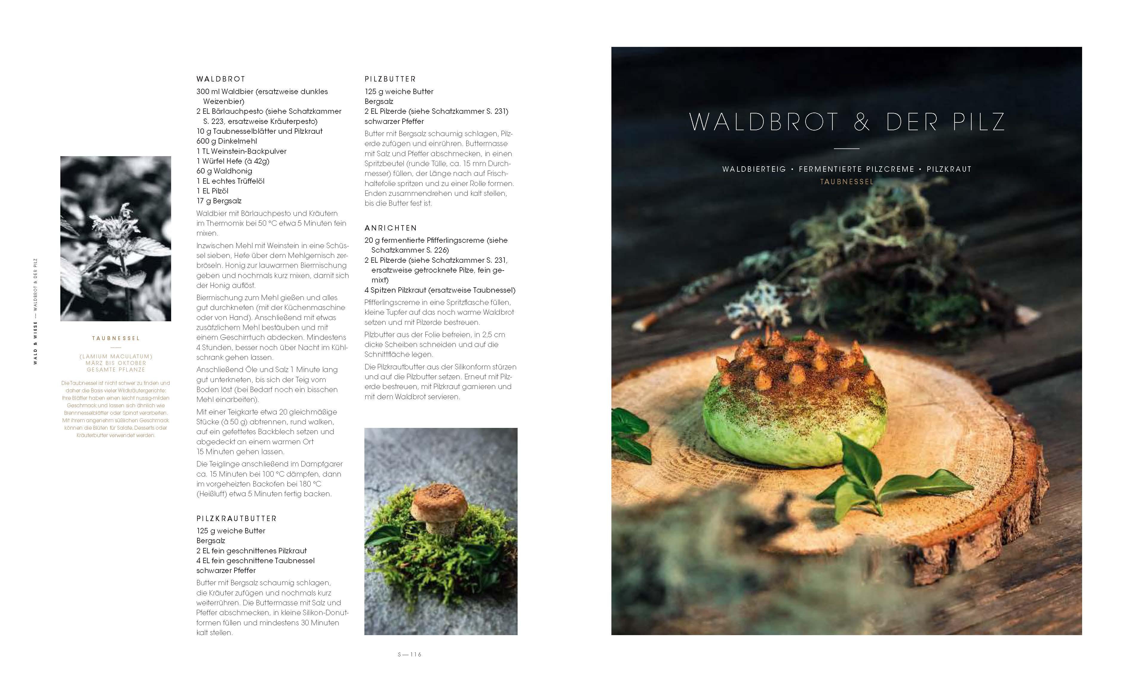 Beispielinhalt (Bild) Kräuterreich