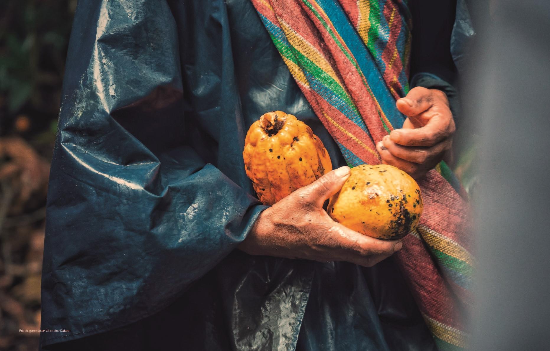 Beispielinhalt (Bild) Chocolat & Confiserie