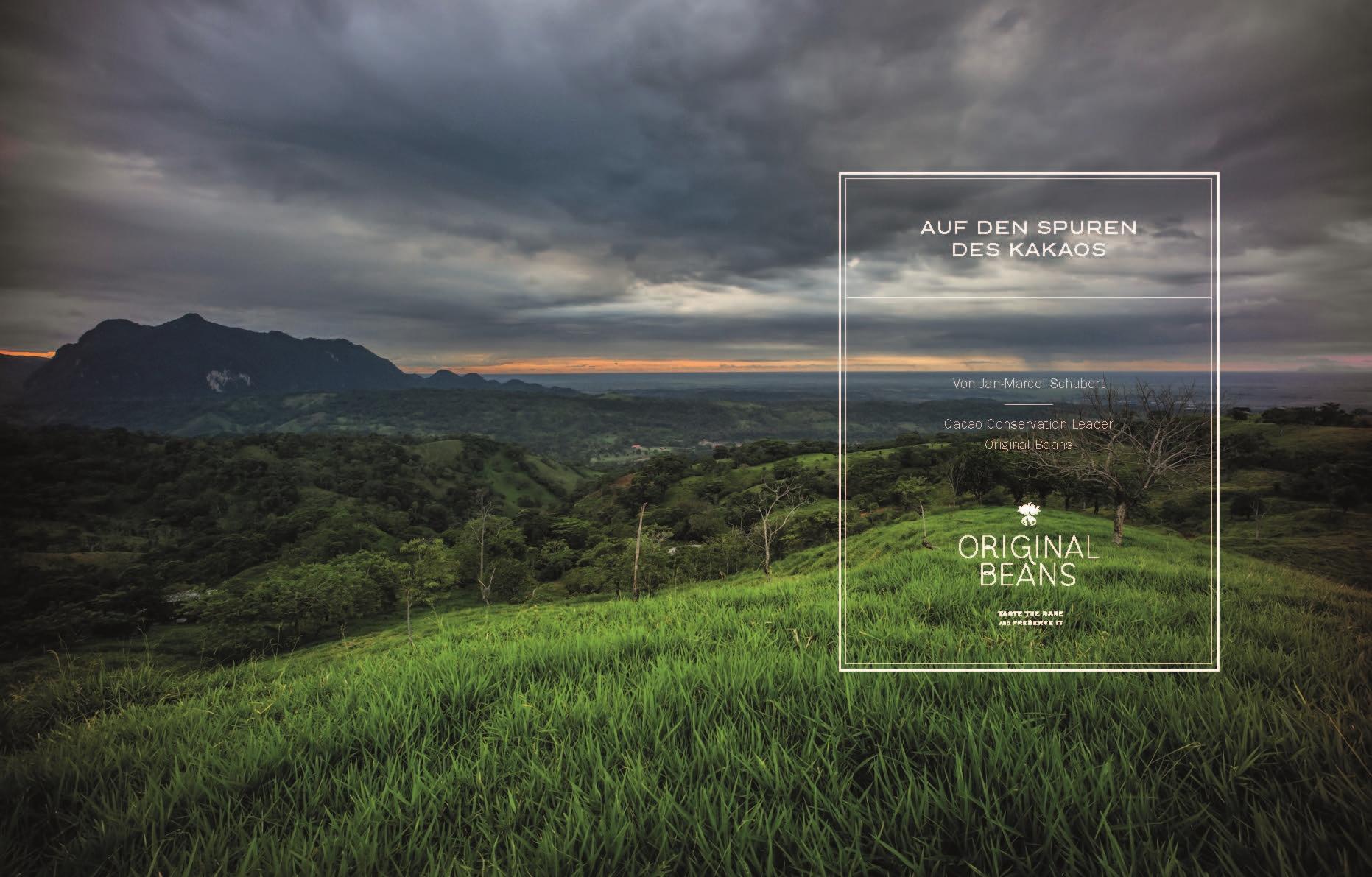 Beispielinhalt (Bild) Chocolat & Confiserie