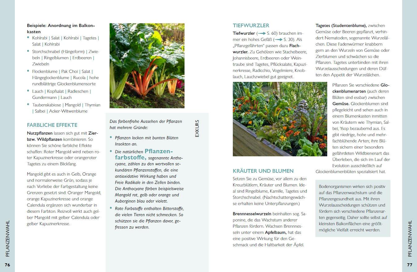 Beispielinhalt (Bild) Permakultur auf dem Balkon