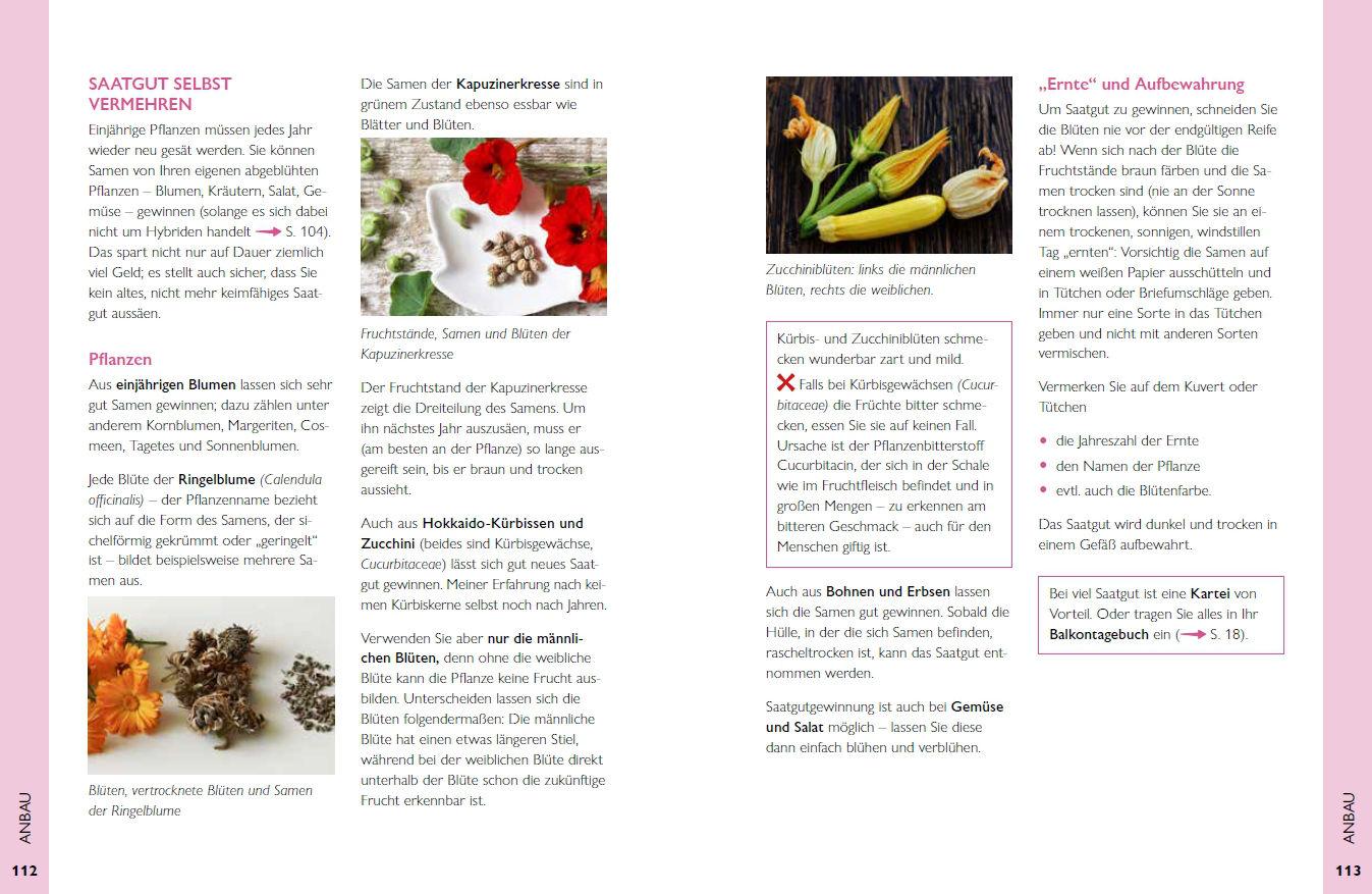 Beispielinhalt (Bild) Permakultur auf dem Balkon