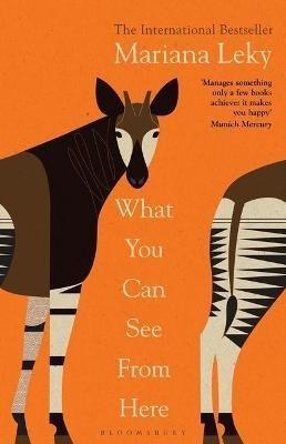 Vorderes Coverbild What You Can See From Here