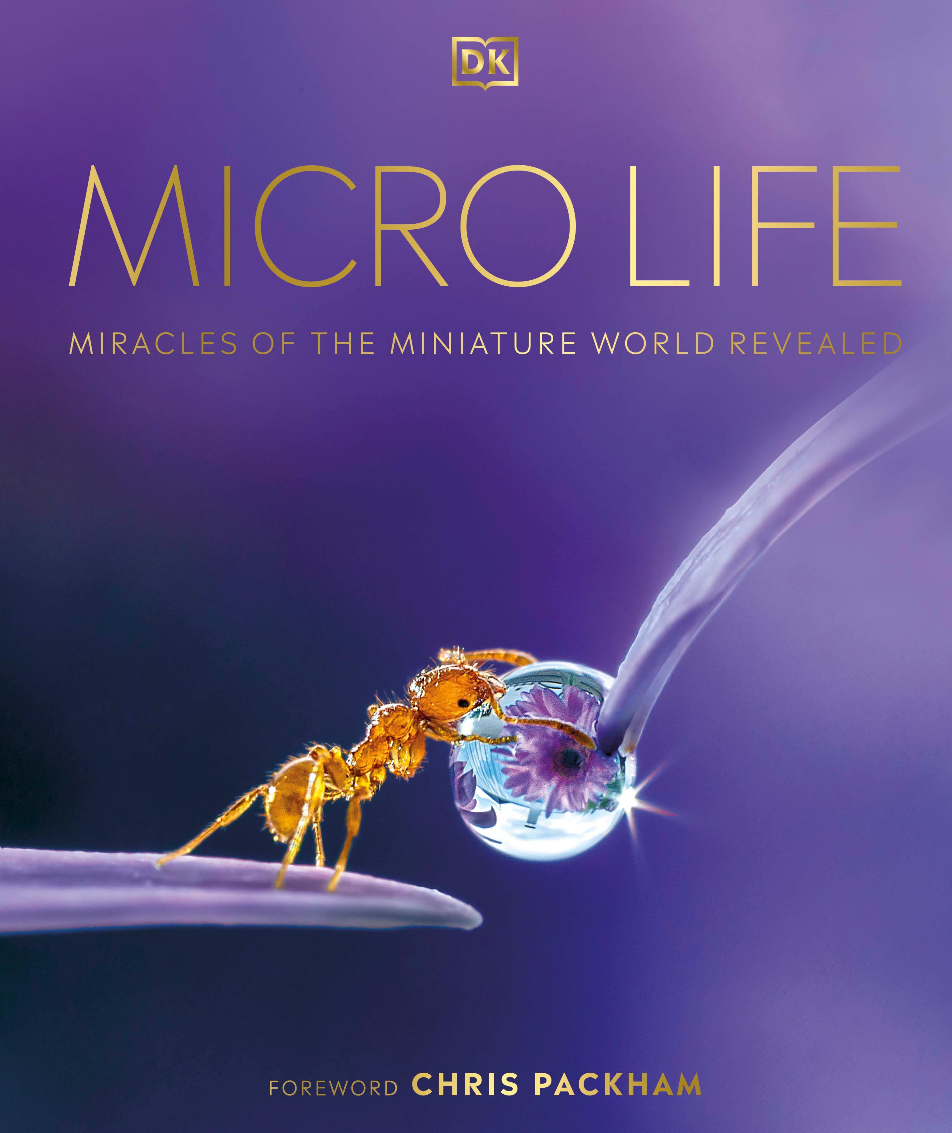 Vorderes Coverbild Micro Life