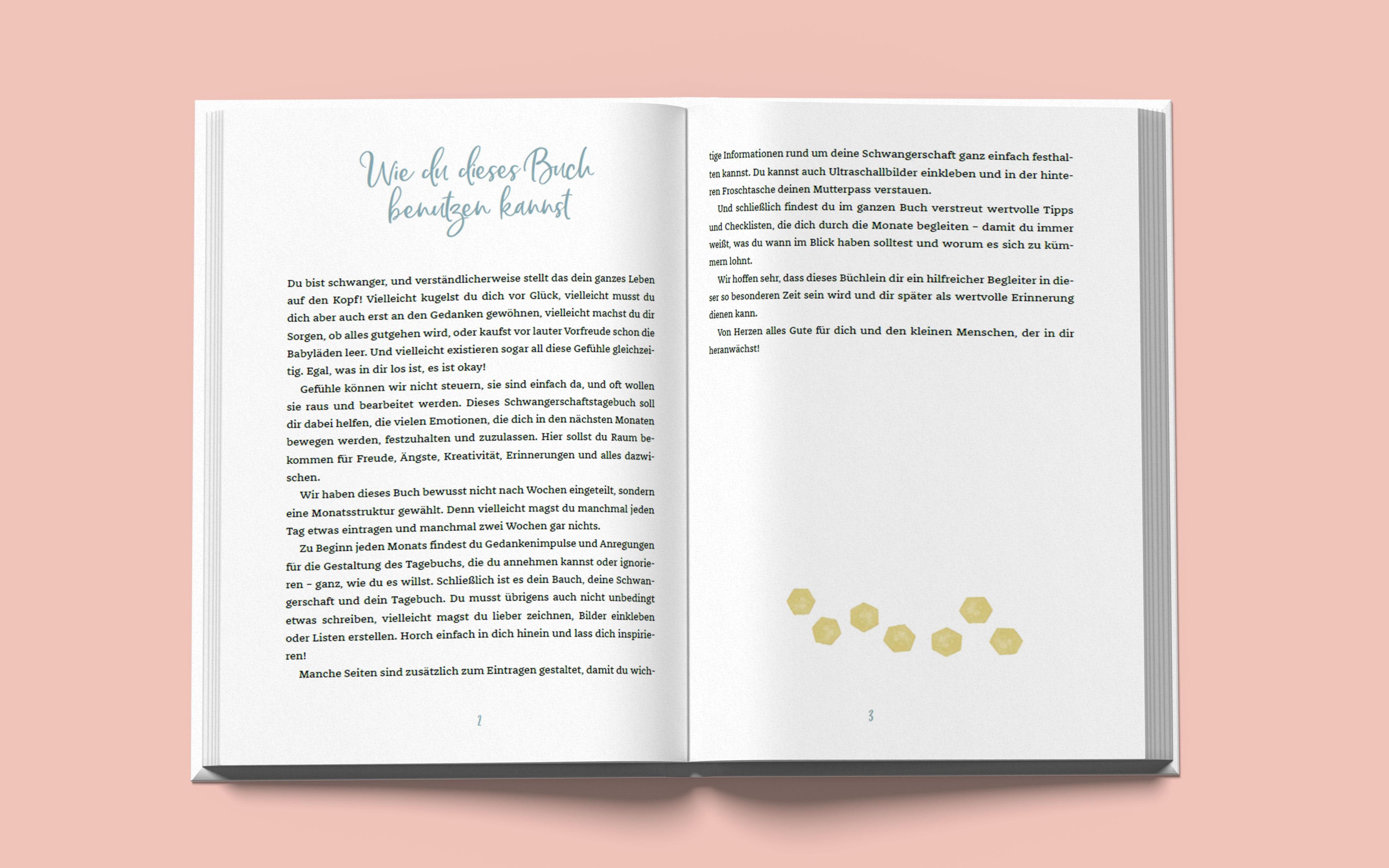 Beispielinhalt (Bild) Das unkitschige Schwangerschaftstagebuch (Punkte-Edition)