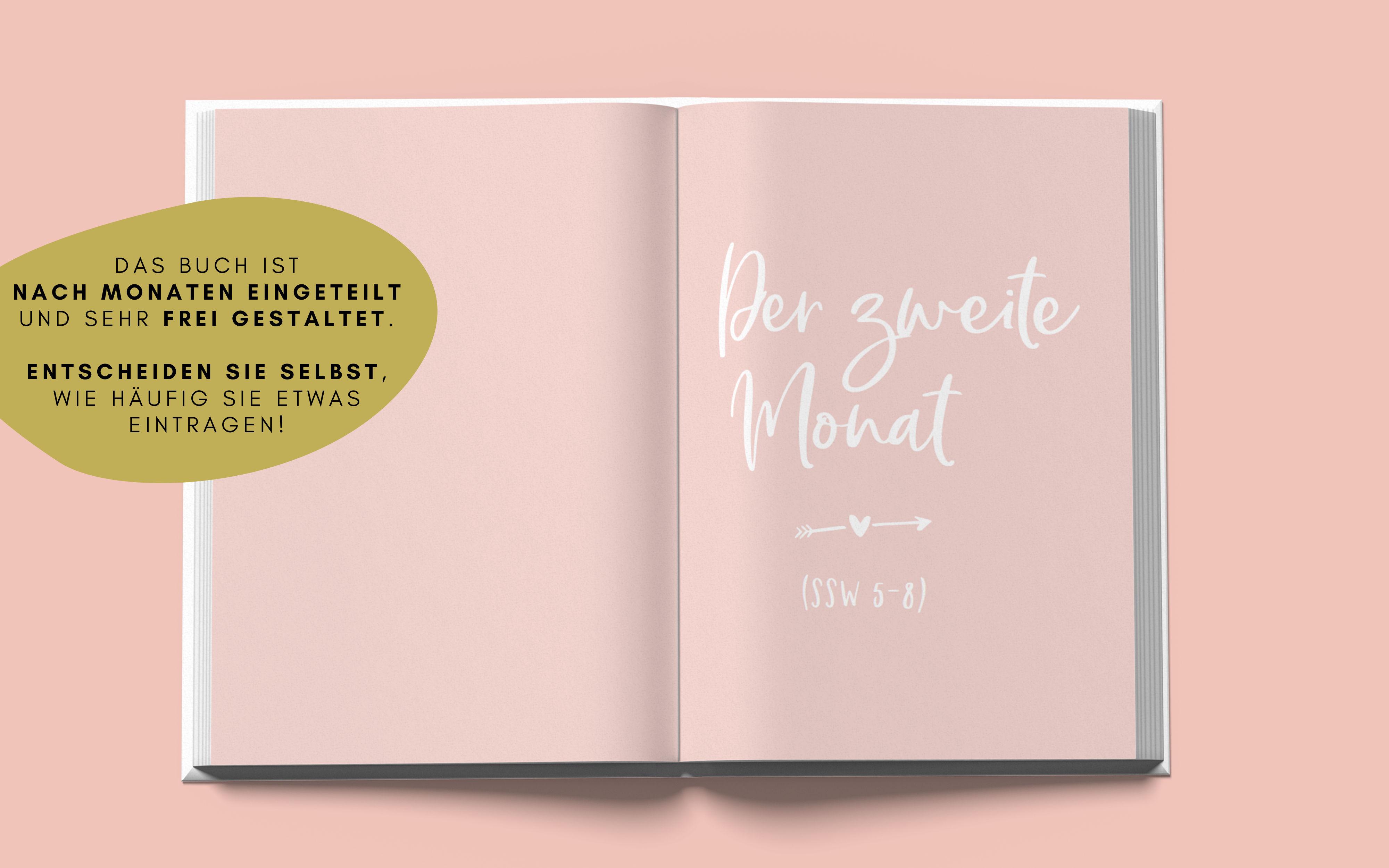 Beispielinhalt (Bild) Das unkitschige Schwangerschaftstagebuch (Punkte-Edition)