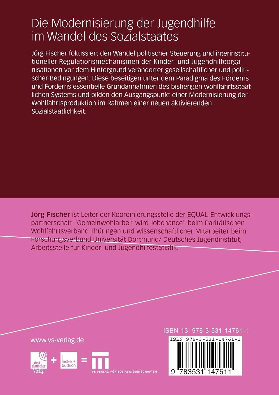 Rückseitencover Die Modernisierung der Jugendhilfe im Wandel des Sozialstaates