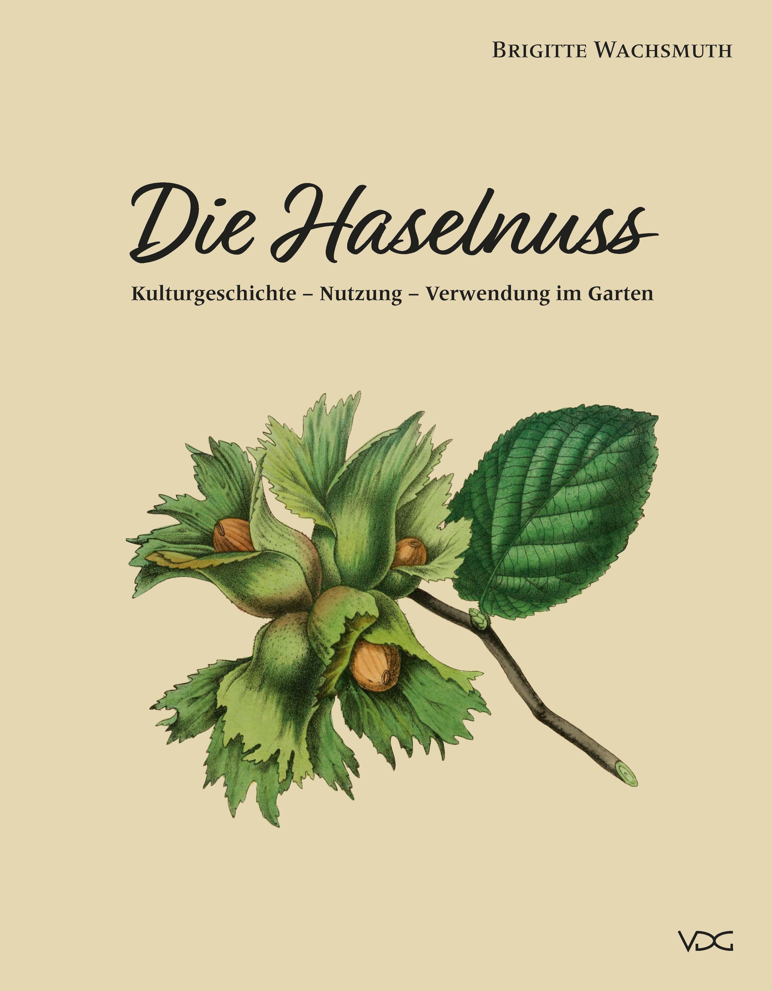 Vorderes Coverbild Die Haselnuss