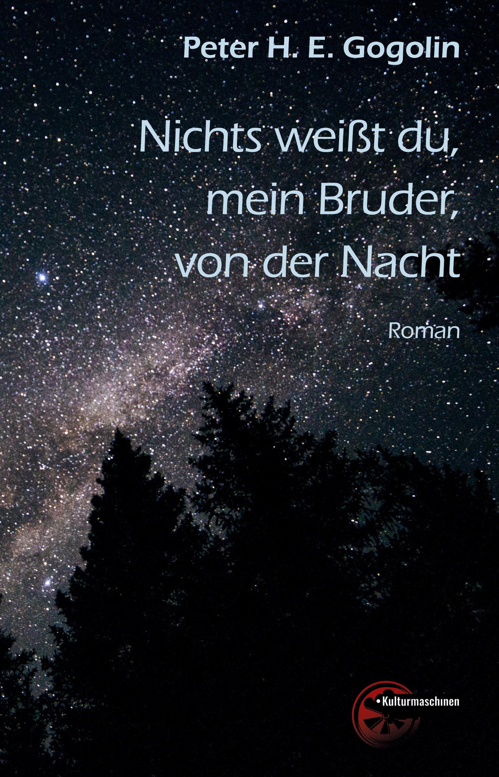 Vorderes Coverbild Nichts weißt du, mein Bruder, von der Nacht