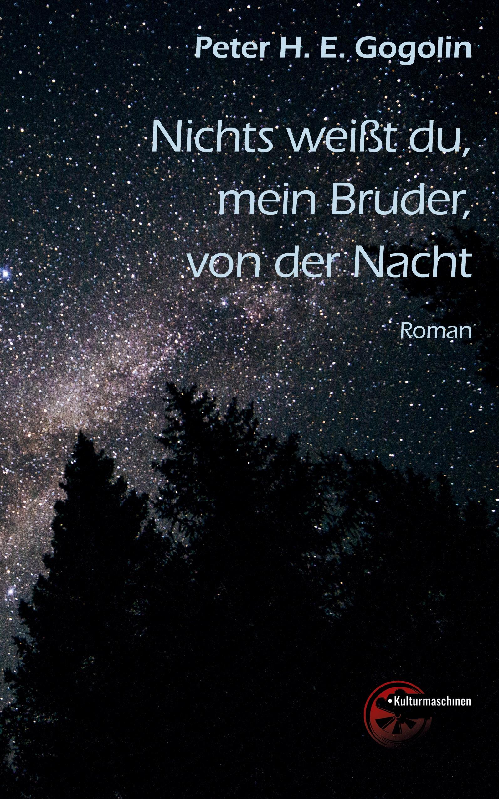 Vorderes Coverbild Nichts weißt du, mein Bruder, von der Nacht