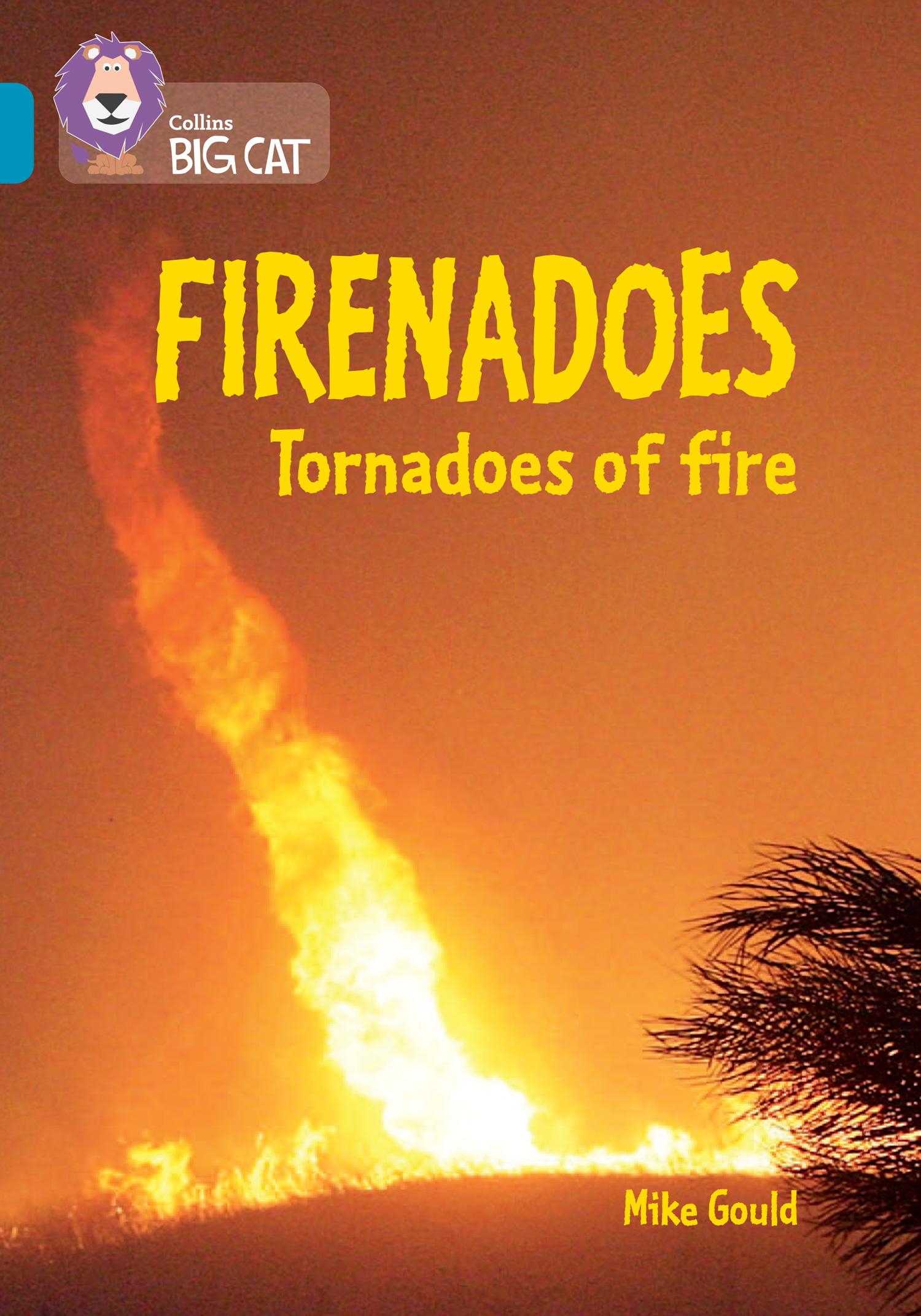 Vorderes Coverbild Collins Big Cat -- Firenados: Tornadoes of Fire: Band 13/Topaz
