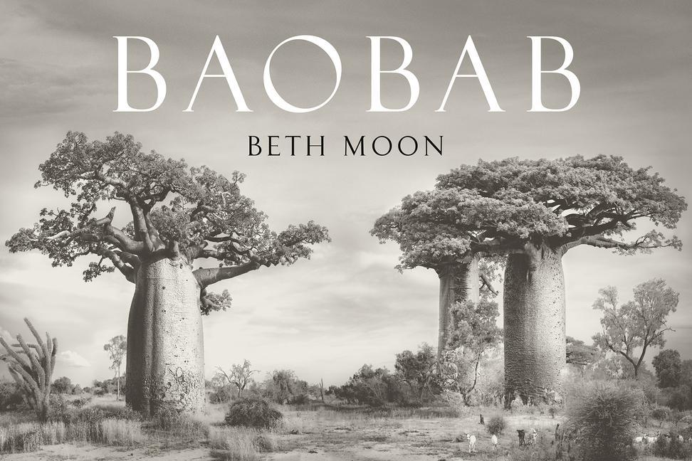 Vorderes Coverbild Baobab