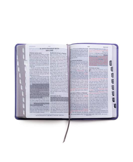 Vorderes Coverbild Santa Biblia de Promesas Reina Valera 1960 / Tamaño Manual / Letra Grande / Piel Especial Con Índice / Lavanda // Spanish Promise Bible Rvr60 / Handy Size / Large Print / Leathersoft with Index / Lavander