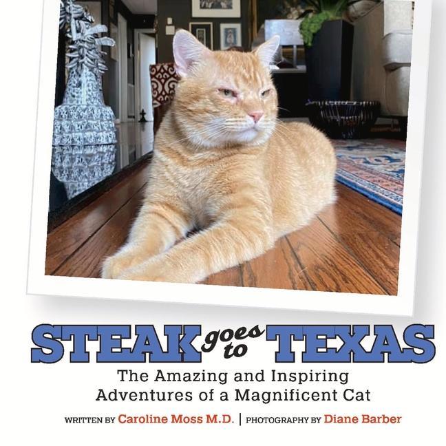 Vorderes Coverbild Steak Goes to Texas: The Amazing and Inspiring Adventures of a Magnificent Cat