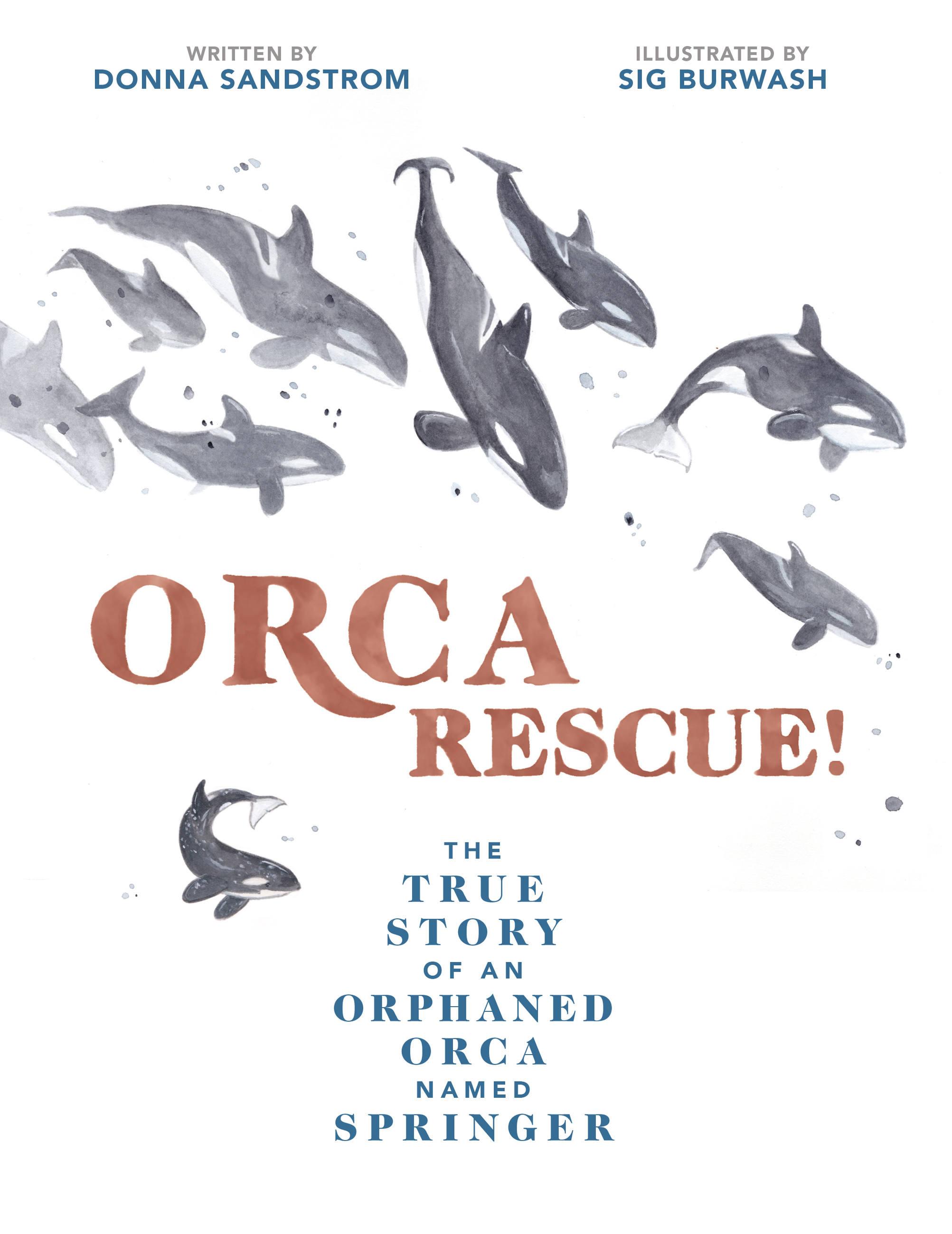Vorderes Coverbild Orca Rescue!