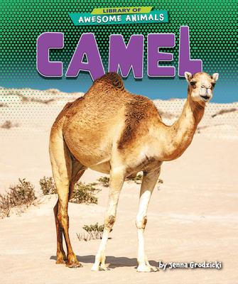 Vorderes Coverbild Camel