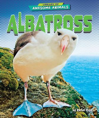 Vorderes Coverbild Albatross