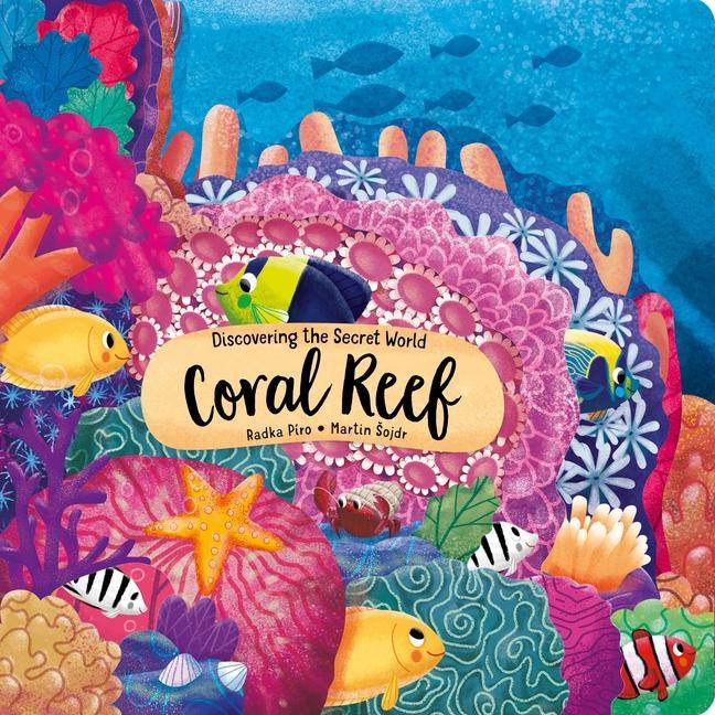Vorderes Coverbild Discovering the Secret World: Coral Reef