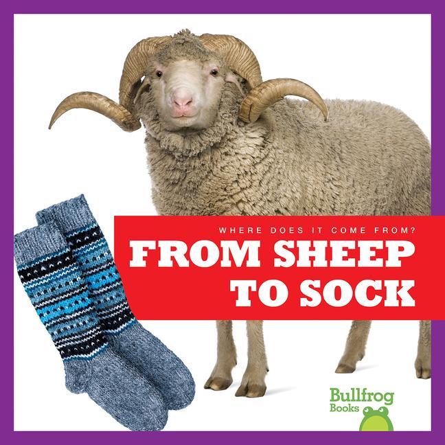 Vorderes Coverbild From Sheep to Sock