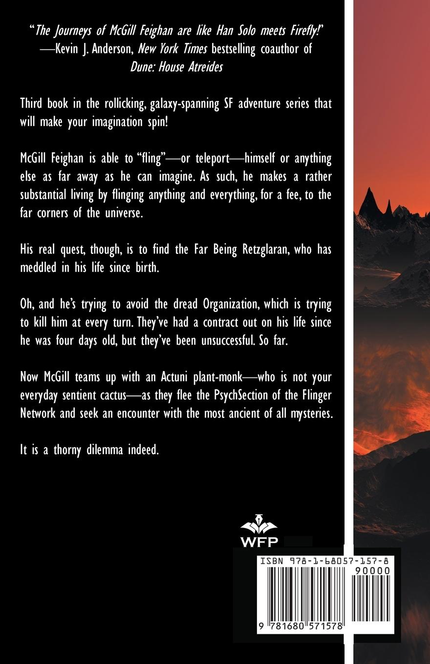 Rückseitencover Lava