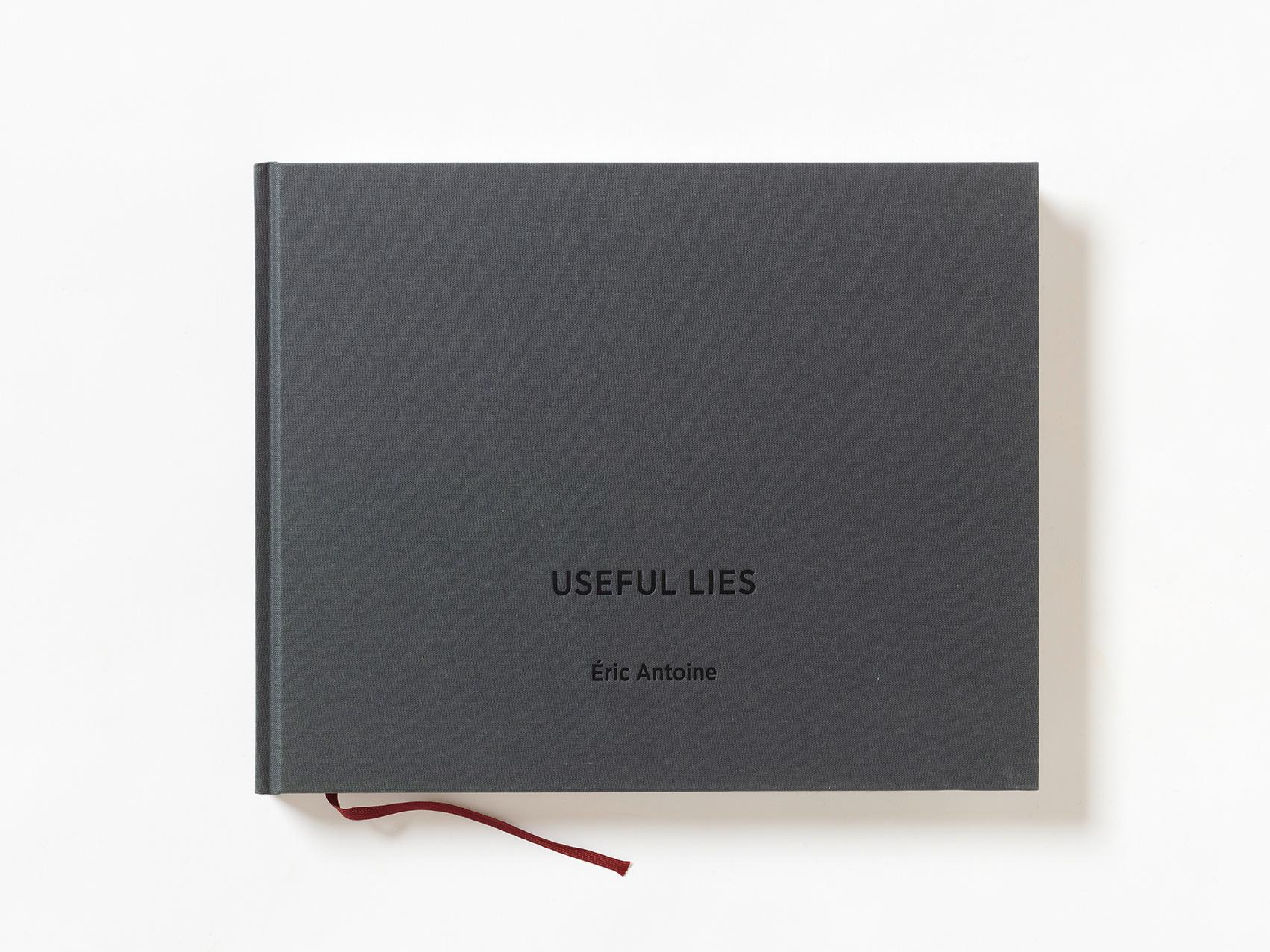 Vorderes Coverbild Useful Lies