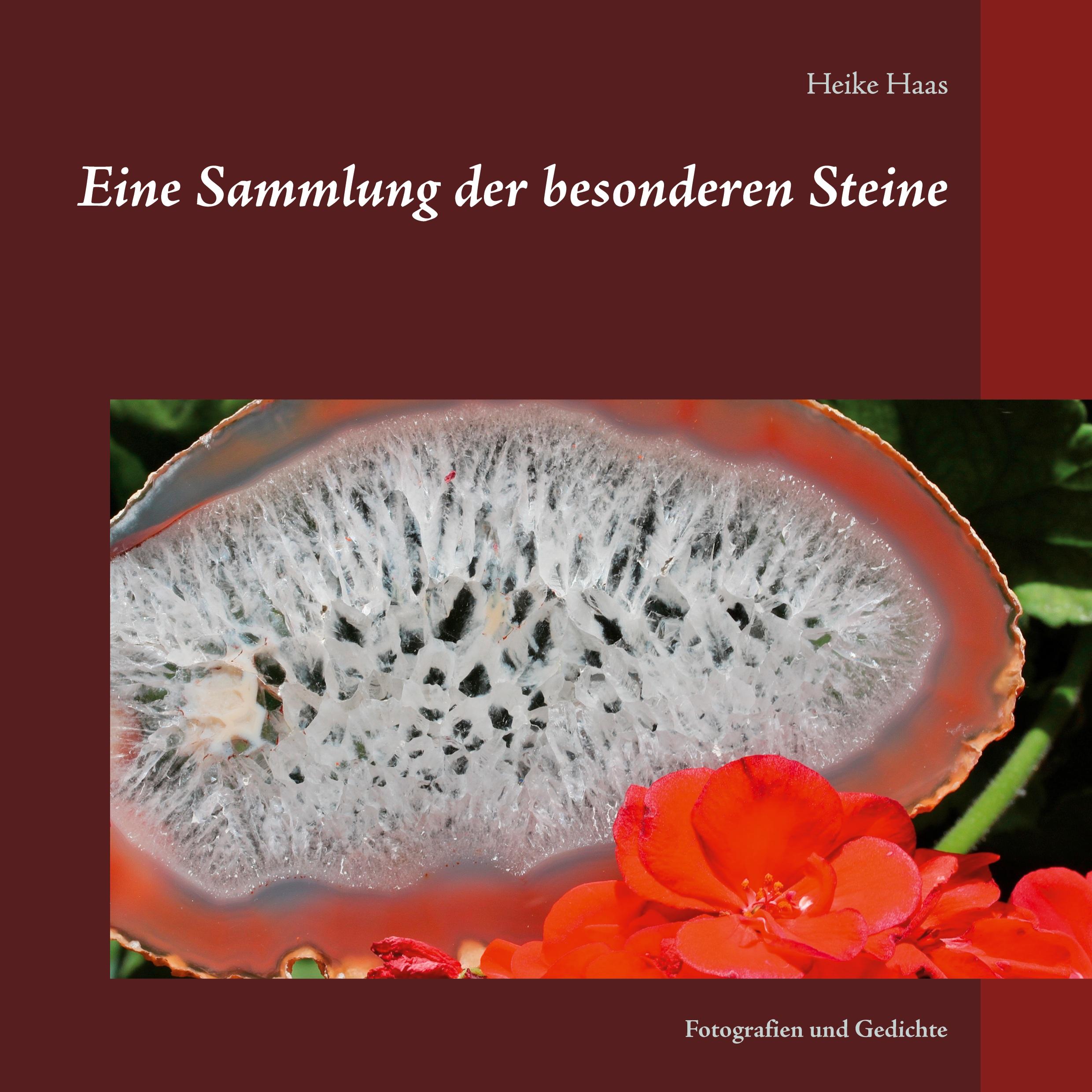 Vorderes Coverbild Eine Sammlung der besonderen Steine