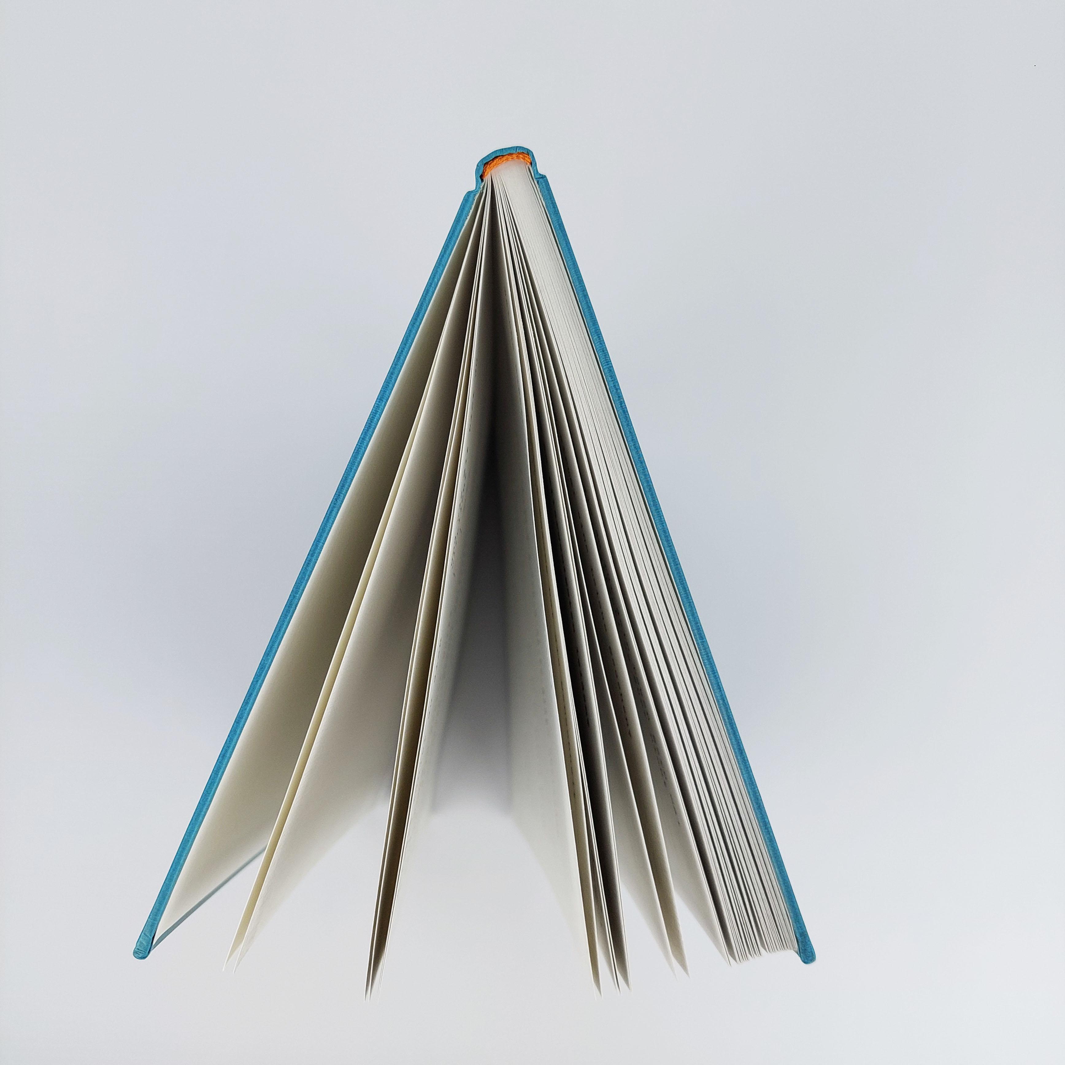 Beispielinhalt (Bild) Verbrenn das Buch danach - Ein Ausfüllbuch für Erwachsene