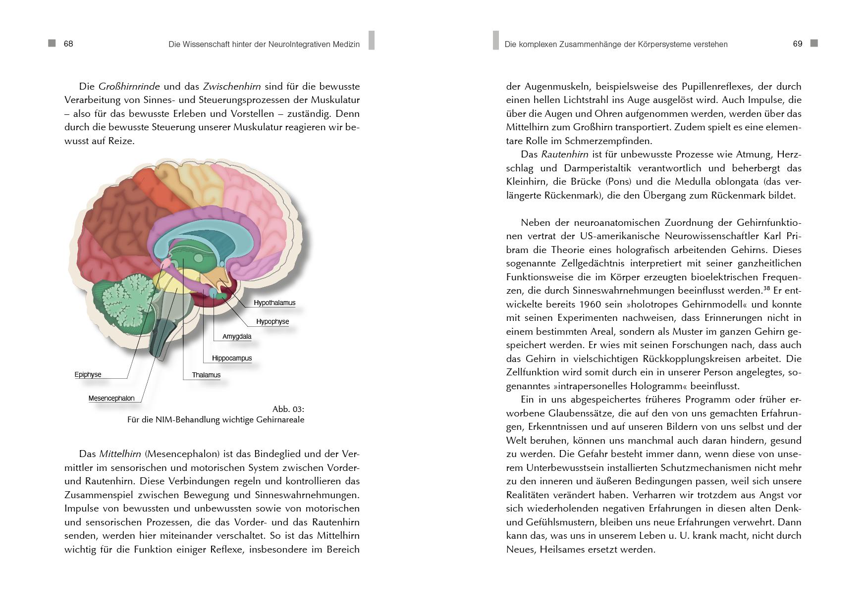 Beispielinhalt (Bild) NeuroIntegrative Medizin: Durch körpereigene Intelligenz die Selbstheilungskräfte aktivieren