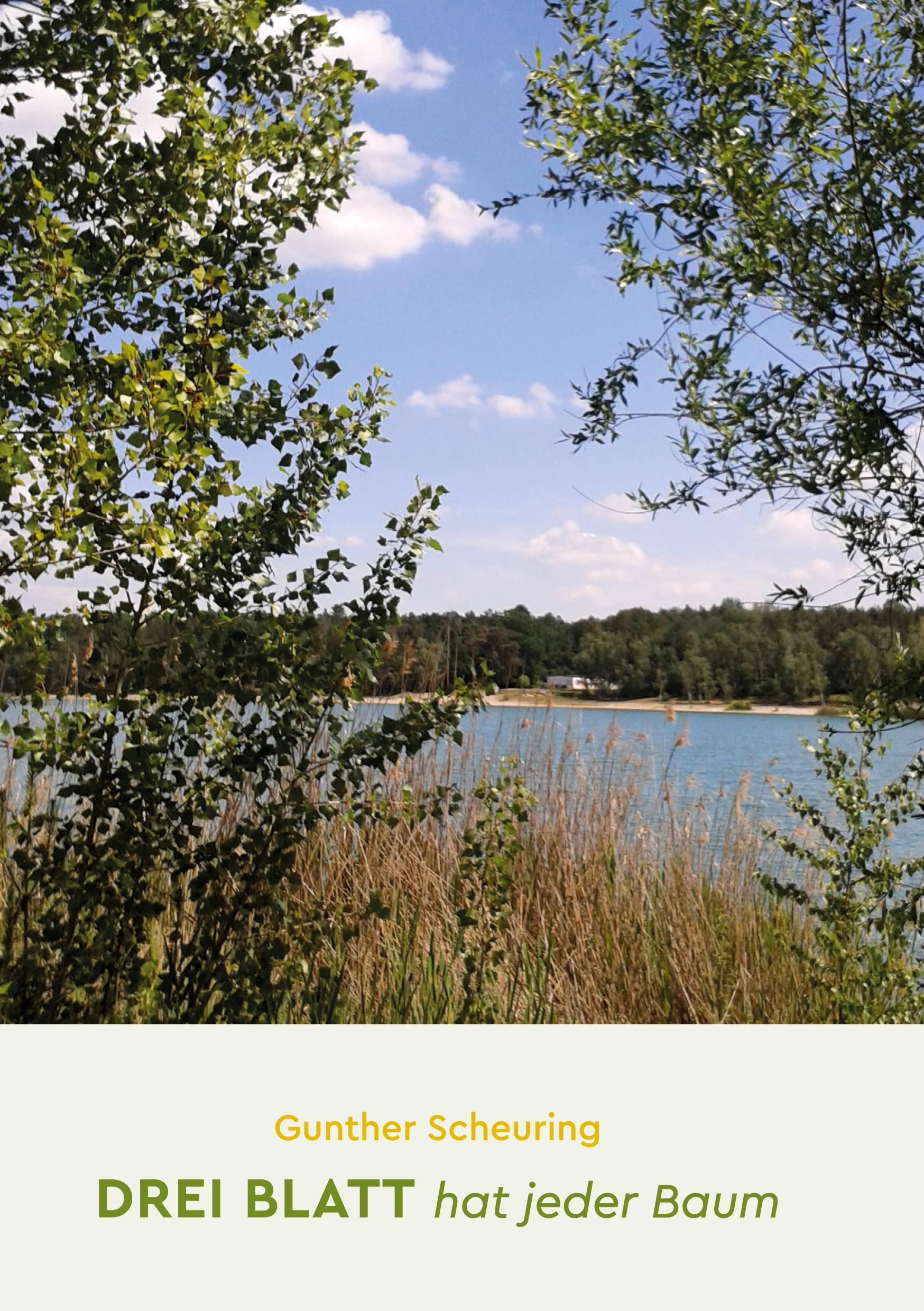 Vorderes Coverbild Drei Blatt hat jeder Baum