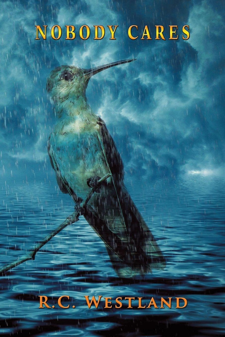 Vorderes Coverbild Nobody Cares