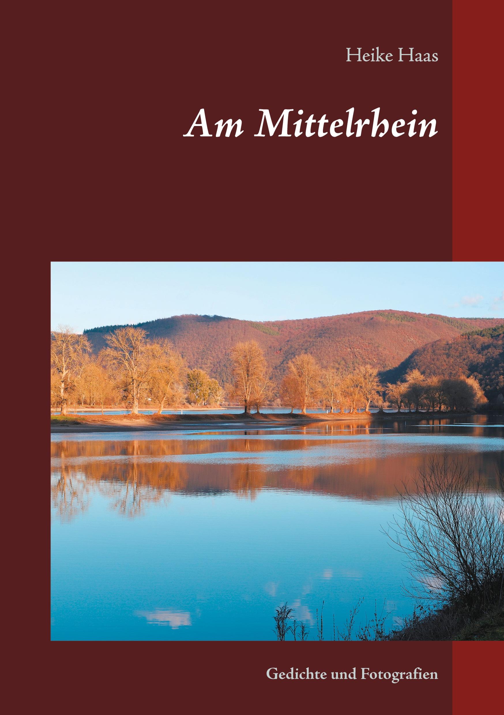 Vorderes Coverbild Am Mittelrhein