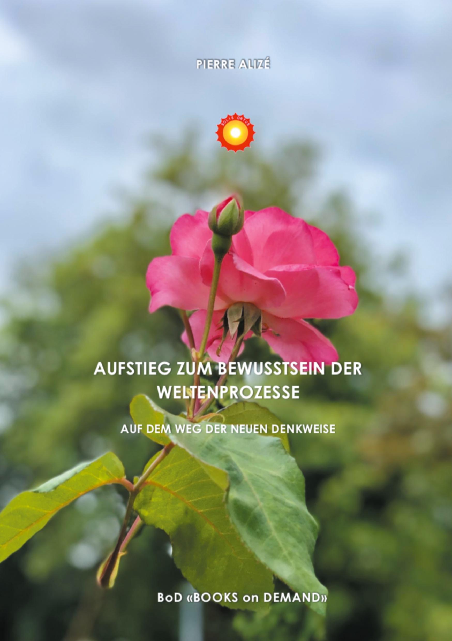 Vorderes Coverbild Aufstieg zum Bewusstsein der Weltprozesse